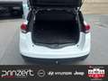 Renault Scenic 1.3 TCe 160 DCT7 "Limited" DeLuxe*Winter-Paket Schwarz - thumbnail 14