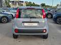 Fiat Panda Panda 1.0 firefly hybrid s Grijs - thumbnail 5