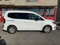 Renault Kangoo Kangoo 2021 Passenger 1.5  Plus 95cv Bianco - thumbnail 4