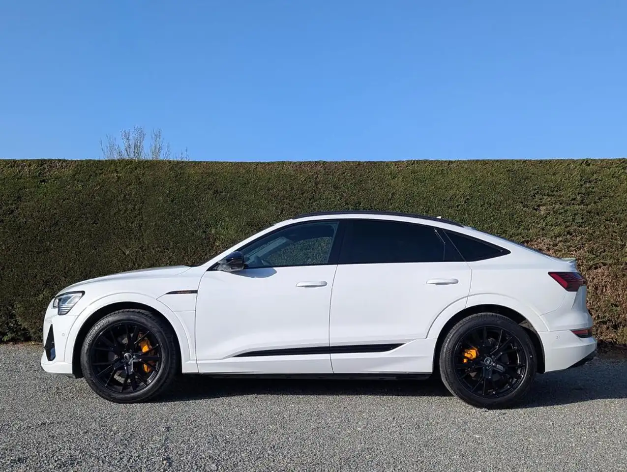 Audi Q8 e-tron (Q8)e-tron - black edition - 2x s-line-side assist 2