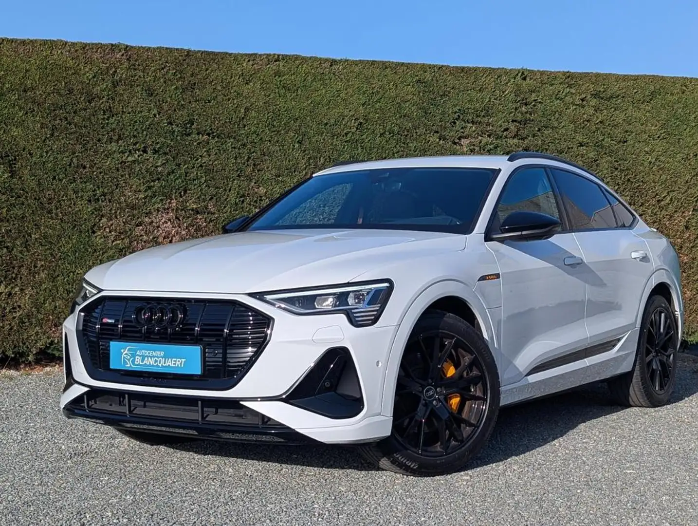 Audi Q8 e-tron (Q8)e-tron - black edition - 2x s-line-side assist Weiß - 1
