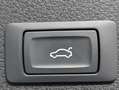 Audi Q8 e-tron (Q8)e-tron - black edition - 2x s-line-side assist Weiß - thumbnail 10