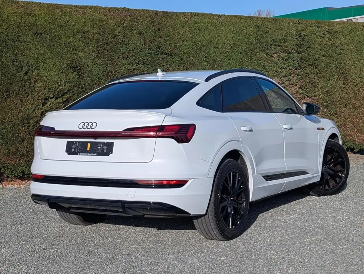 Audi Q8 e-tron (Q8)e-tron - black edition - 2x s-line-side assist 3