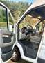 Peugeot Boxer Chasis Cabina 2.2HDI 335 L3 120 - thumbnail 6