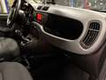 Fiat Panda 1.0 hybrid City Cross -UNICOPROPRIETARIO- Grigio - thumbnail 13