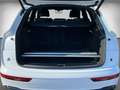 Audi Q5 S line 45 TFSI quatt S tronic Black Matrix Stadt N Wit - thumbnail 13