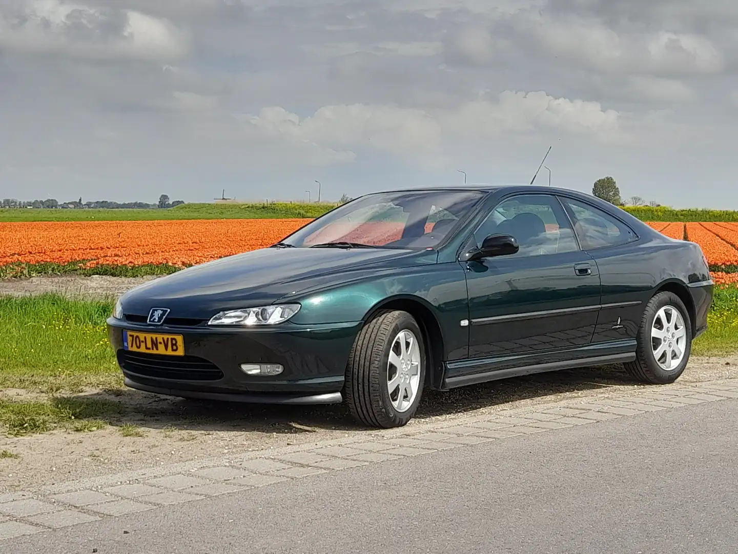 Peugeot 406 406 2.2-16V Grün - 2
