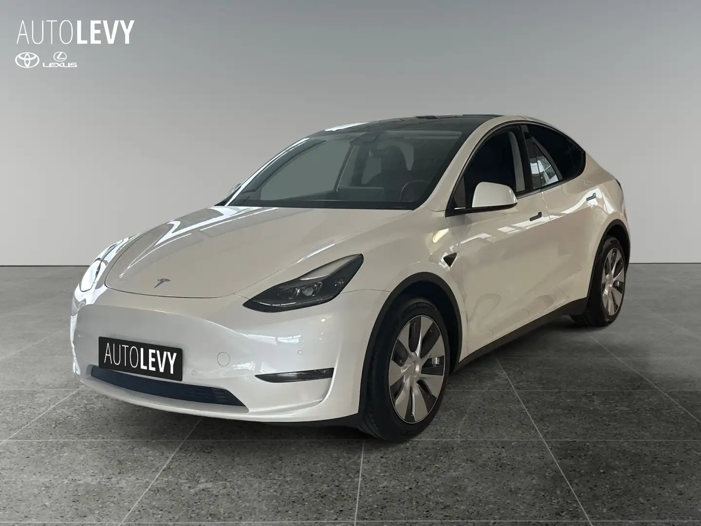 Tesla Model Y Long Range Dual AWD Alb - 2