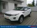 Land Rover Range Rover Evoque Pure 2,2 TD4 Weiß - thumbnail 1