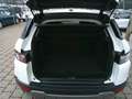Land Rover Range Rover Evoque Pure 2,2 TD4 Bianco - thumbnail 5