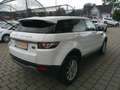 Land Rover Range Rover Evoque Pure 2,2 TD4 Bianco - thumbnail 3