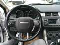 Land Rover Range Rover Evoque Pure 2,2 TD4 Weiß - thumbnail 7