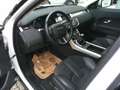 Land Rover Range Rover Evoque Pure 2,2 TD4 Weiß - thumbnail 15