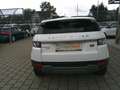 Land Rover Range Rover Evoque Pure 2,2 TD4 Bianco - thumbnail 4