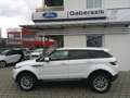 Land Rover Range Rover Evoque Pure 2,2 TD4 Bianco - thumbnail 2