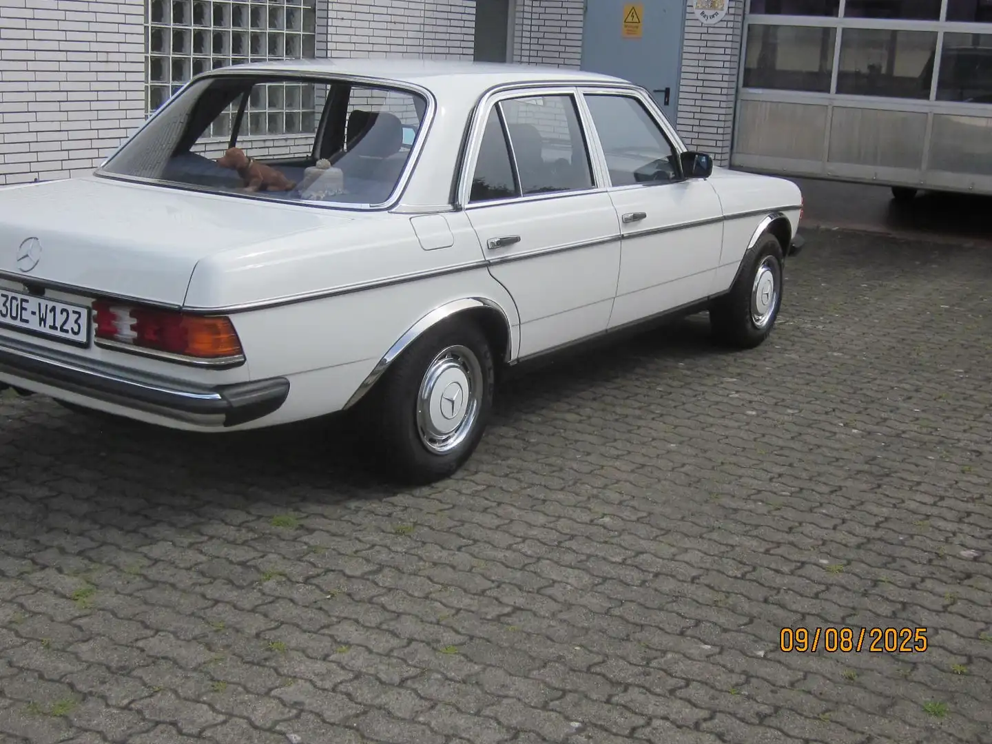 Mercedes-Benz 230 230 E mit geregelten KAT ( 51 ) - 2