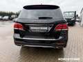 Mercedes-Benz GLE 250 GLE 250 d AMG Line AHK Comand LED-ILS Vollleder Schwarz - thumbnail 6