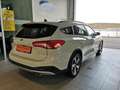 Ford Focus Traveller 1,0 EcoBoost Active Blanc - thumbnail 2
