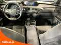 Lexus UX 250h 2.0 Business Navigation Gris - thumbnail 13