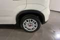 Fiat Panda Panda 1.0 FireFly Hybrid 70cv MY23 Blanco - thumbnail 7