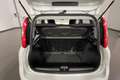 Fiat Panda Panda 1.0 FireFly Hybrid 70cv MY23 Blanco - thumbnail 20