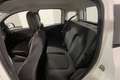 Fiat Panda Panda 1.0 FireFly Hybrid 70cv MY23 Blanco - thumbnail 10