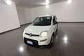 Fiat Panda Panda 1.0 FireFly Hybrid 70cv MY23 Blanco - thumbnail 1