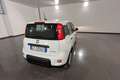 Fiat Panda Panda 1.0 FireFly Hybrid 70cv MY23 Blanco - thumbnail 4