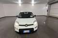 Fiat Panda Panda 1.0 FireFly Hybrid 70cv MY23 Blanco - thumbnail 2