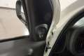Fiat Panda Panda 1.0 FireFly Hybrid 70cv MY23 Blanco - thumbnail 19