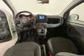Fiat Panda Panda 1.0 FireFly Hybrid 70cv MY23 Blanco - thumbnail 11