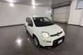 Fiat Panda Panda 1.0 FireFly Hybrid 70cv MY23 Blanco - thumbnail 3