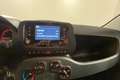 Fiat Panda Panda 1.0 FireFly Hybrid 70cv MY23 Blanco - thumbnail 16