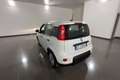 Fiat Panda Panda 1.0 FireFly Hybrid 70cv MY23 Blanco - thumbnail 6
