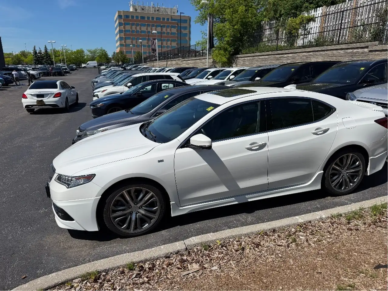 Acura TLX снимка Acura TLX