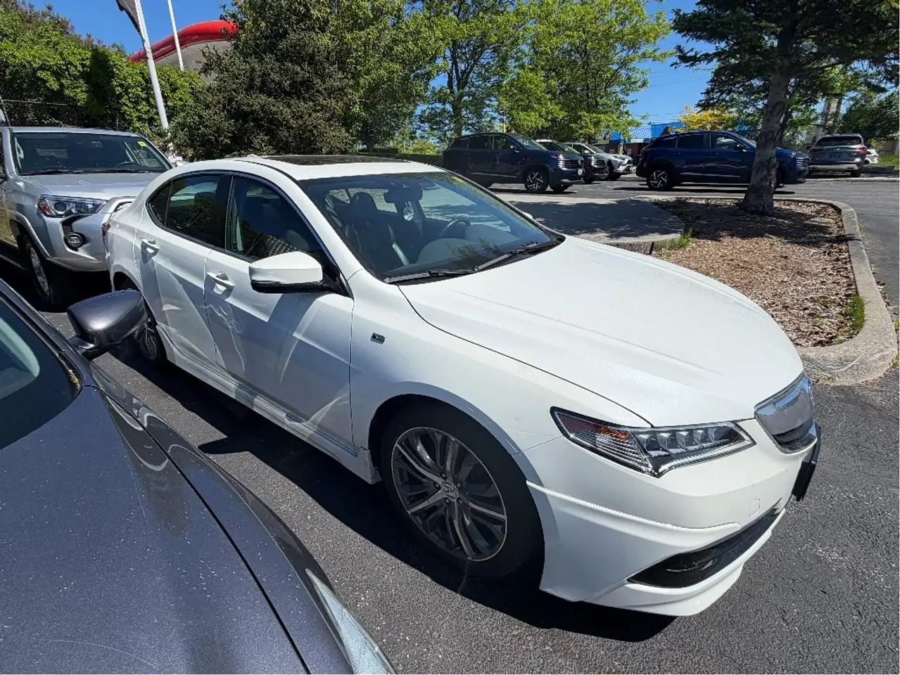Acura TLX снимка Acura TLX