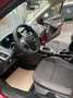 Ford Focus Erst 80Tkm, aus 1 Hand , 1Garantie Braun - thumbnail 14