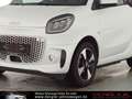 smart forTwo Fortwo Cabrio EQEXCLUSIVE*JBL*22KW Passion White - thumbnail 7