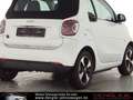 smart forTwo Fortwo Cabrio EQEXCLUSIVE*JBL*22KW Passion White - thumbnail 8