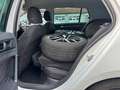 Volkswagen Golf VII 1.4 TSI Highline BMT Weiß - thumbnail 12