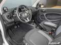 smart forTwo ForTwo Cabriolet EQ Passion LED/22 kW/JBL/Kamera Weiß - thumbnail 10