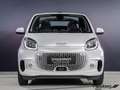 smart forTwo ForTwo Cabriolet EQ Passion LED/22 kW/JBL/Kamera Weiß - thumbnail 5