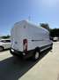 Ford Transit FT 350 L3 Van Trend 130 Blanco - thumbnail 2