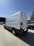 Ford Transit FT 350 L3 Van Trend 130 Blanco - thumbnail 4