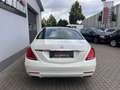 Mercedes-Benz S 350 d*Panorama*360° Kamera*ACC*Burmester* Weiß - thumbnail 4