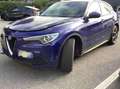 Alfa Romeo Stelvio 2.2 TD 160Cv AT8 TETTO A PINZA GIALLA CERCHIO 19 Blu/Azzurro - thumbnail 1