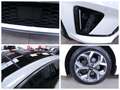 Kia ProCeed / pro_cee'd 1,4 T-GDI GT-LINE AUTO - TOIT PANO - CUIR - GPS Blanc - thumbnail 21