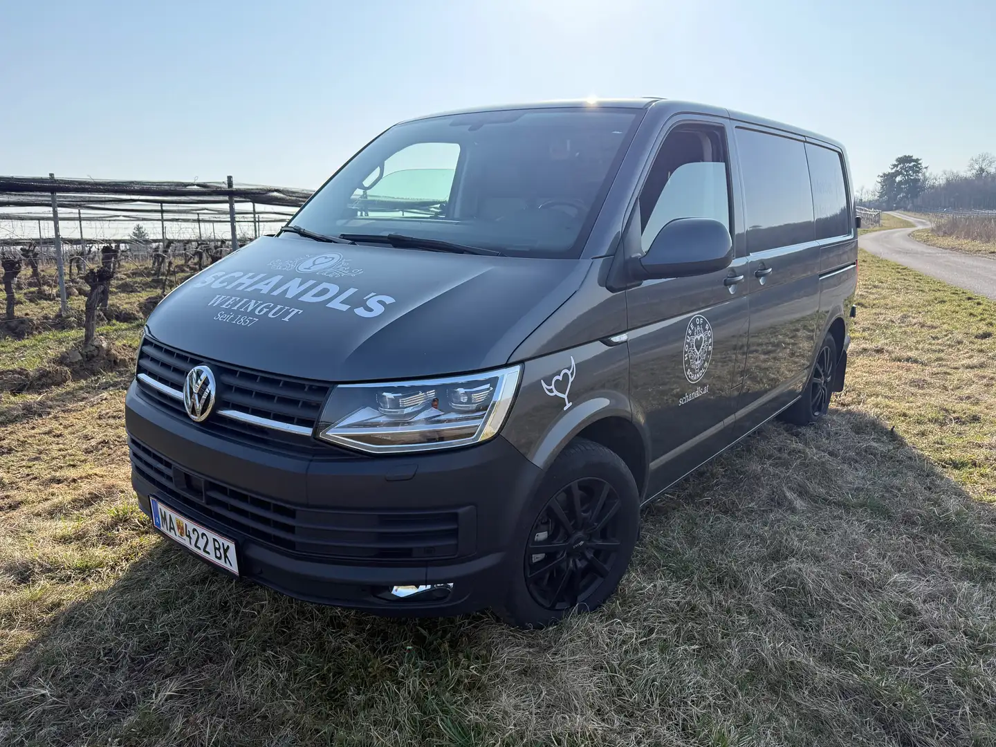 Volkswagen T6 Transporter Kastenwagen 4Motion Automatik Grau - 1