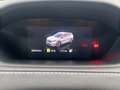 Skoda Enyaq iV 80 82kWh Sportline, ACC, 360 Grad, Schiebeda... Weiß - thumbnail 15