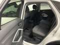 Audi Q3 Sportback 40 TDI quattro S-Line Black-Paket Weiß - thumbnail 17
